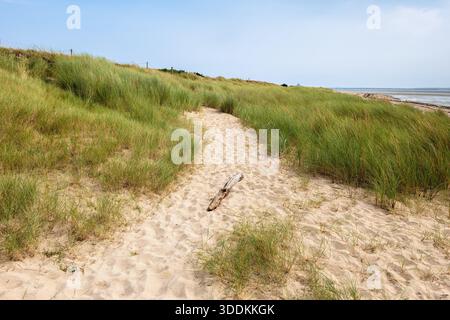 Sentier de sable à travers des dunes herbeuses en Normandie menant à une plage. Banque D'Images