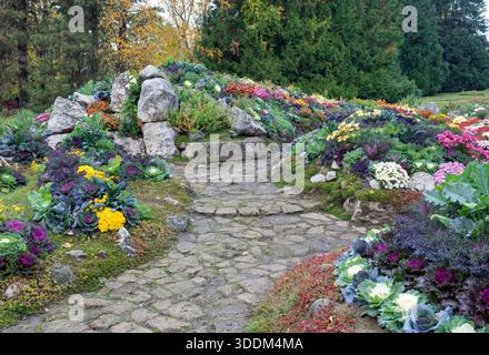 Une vue panoramique sur un paysage de jardin botanique avec des rangées vibrantes de chrysanthèmes en fleurs et de chou ornemental Banque D'Images