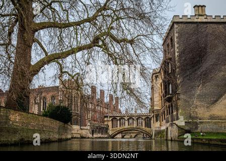 Scène hivernale froide de punting le long de la rivière Cam avec une vue emblématique du pont des Soupirs au St John’s College à Cambridge - A. Banque D'Images