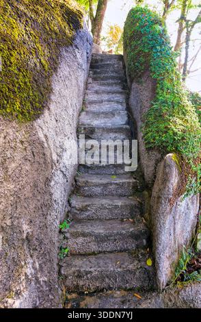 Escalier en pierre altérée montant entre des parois rocheuses recouvertes de mousse et un feuillage vert luxuriant. Marches anciennes dans un cadre extérieur naturel. Banque D'Images