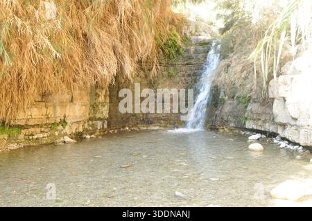 L'eau coule doucement sur les rochers, créant une scène paisible à côté d'une piscine claire et peu profonde. Les plantes environnantes ajoutent une beauté luxuriante à ce paisible lo en plein air Banque D'Images