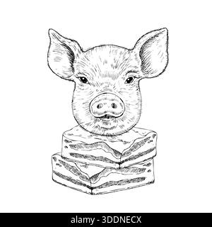 Tête de cochon vecteur sur le saindoux. Encre graphique illustration de viande de ventre de porc, isolé sur fond. Esquisse de ligne dessinée à la main. Pour les concepteurs, impressions, logo, icône Illustration de Vecteur
