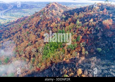 Tir par drone d'une forêt mixte montrant un incendie endommageant le concept de changement. Banque D'Images
