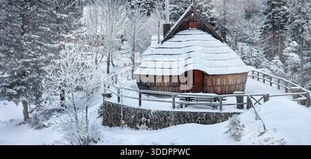 Paysages d'hiver. Maisons traditionnelles en bois couvertes de neige profonde dans les Alpes slovènes. Village authentique à Velika Planina. Site patrimonial de Slovénie Banque D'Images