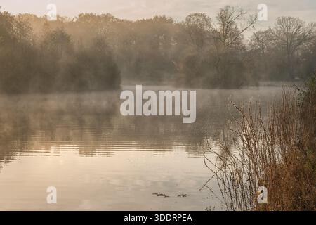 Brouillard du matin au-dessus du lac, fond extérieur Banque D'Images