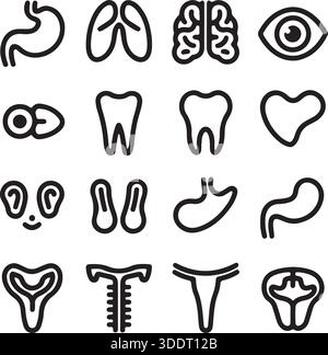 Icônes de parties du corps humain Set Medical Anatomy Vector illustration Illustration de Vecteur
