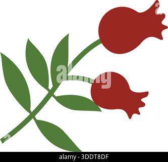 Esquisse de grenade dessinée à la main avec branche, feuilles et icône de vecteur de silhouette de fleur Illustration de Vecteur