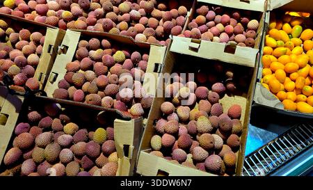Des boîtes remplies de litchi frais et de fruits kumquat sont disposées sur un marché pour que les clients puissent les voir et les acheter. Les couleurs éclatantes attirent l'attention. Banque D'Images