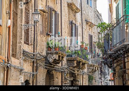 Balcons anciens en fer forgé avec plantes vertes en pot à Palerme. Voyager en Italie Banque D'Images