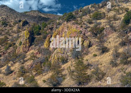 Des bandes de roches volcaniques roses et rougeâtres émergent des pentes herbeuses des montagnes Huachuca à l'intérieur du mémorial national de Coronado dans le sud-est de l'Ariz Banque D'Images
