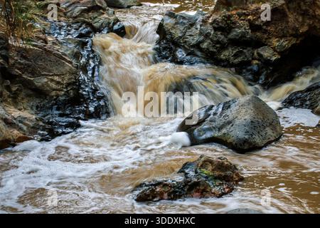 L'eau boueuse coule sur des rochers sombres dans une petite cascade et un ruisseau, créant de la mousse tourbillonnante et un mouvement dynamique. La scène naturelle suggère le pouvoir, wil Banque D'Images