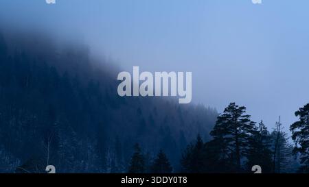 Trekking iaround l'Alpsee à Schwangau en Bavière Allemagne en hiver 2025 - neige et glace - randonnée hivernale Banque D'Images