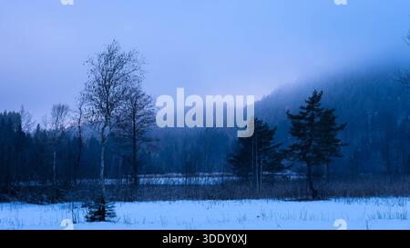 Trekking iaround l'Alpsee à Schwangau en Bavière Allemagne en hiver 2025 - neige et glace - randonnée hivernale Banque D'Images