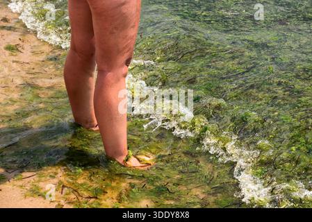 Des algues vertes ont débarqué le long de la côte de la mer Noire à Sunny Beach en Bulgarie, montrant de l'eau peu profonde, la croissance des algues et des jambes humaines debout en c Banque D'Images