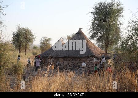Scène traditionnelle du village de la tribu Kunama avec des huttes coniques en pierre de chaume et des villageois locaux près de Sheraro, Tigray, Ethiopie Banque D'Images