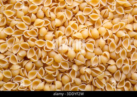 Conchiglie Rigate, pâtes italiennes crues non cuites Banque D'Images