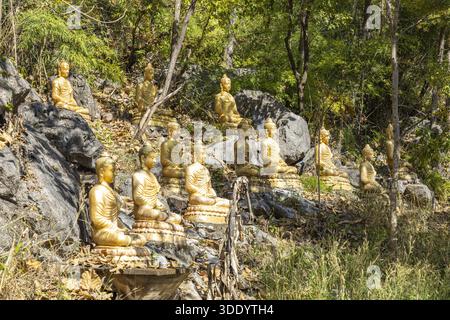 DOKKHAMTAI, PHAYAO, THAÏLANDE - 4 JANVIER 2026 : Wat Phrathat Chom Sin, de multiples statues de Bouddha dorées sont assises dans des poses de méditation sur un terrain rocheux Banque D'Images