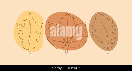 Illustration vectorielle contemporaine représentant trois feuilles d'automne distinctes : un érable, un chêne et une autre feuille stylisée, chacune rendue avec une seule, cont Illustration de Vecteur