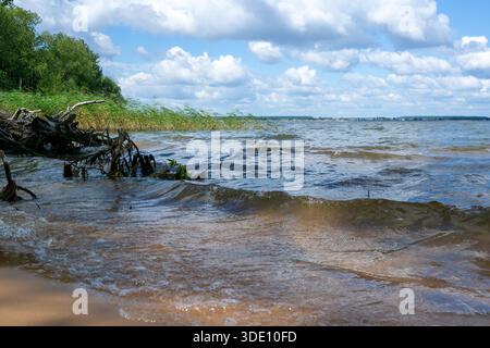 Vagues du lac près de la rive avec roseaux et nuages d'été Banque D'Images