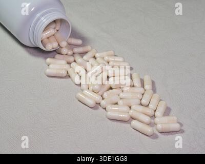 Capsules blanches renversées et bouteille d'ordonnance ; gros plan de nombreuses capsules médicinales blanches / beiges renversant d'une pilule blanche générique renversée Banque D'Images