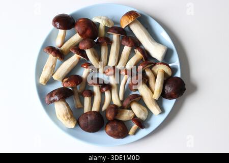 Champignons porcini sur une plaque bleue, isolés sur blanc Banque D'Images