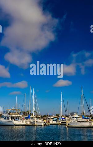 Marina at Shelter Island Shoreline Park, San Diego, Californie, États-Unis [pas de publication ; licence éditoriale uniquement] Banque D'Images