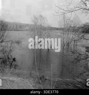 Photographie d'archive monochrome des années 1980 de l'ère soviétique capture un paysage de crue printanière spectaculaire dans le bassin arrière de la rivière Seversky Donets près de Brusino, région de Donetsk, Ukraine URSS. Les arbres sans feuilles se tiennent profondément dans la montée de l'eau, projetant de faibles reflets sur la surface ondulée. Le ciel couvert et le rivage submergé créent une scène atmosphérique et d'humeur typique de la saison. Cette image documente les cycles hydrologiques naturels et la beauté sereine et intacte de la nature du Donbass pendant une période pacifique d'avant-guerre. Banque D'Images