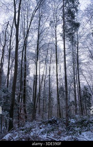Trekking iaround l'Alpsee à Schwangau en Bavière Allemagne en hiver 2025 - neige et glace - randonnée hivernale Banque D'Images