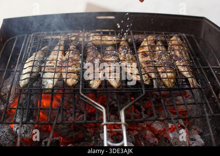 Sardines carbonisées sur une grille métallique, ambiance urbaine de vendeurs de rue avec rôtissage de poisson uniformément espacé sur des braises chaudes, Banque D'Images