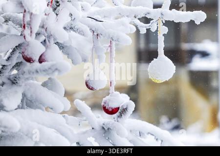 Arbre de Noël dans la neige. Les boules de verre décoratives sont recouvertes de hoarfrost. Westerheim, Bade-Wuerttemberg, Allemagne Banque D'Images