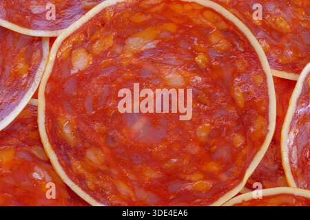 Tranches de chorizo protéiné présentées comme collation salée, rondes compactes de salaison offrant une saveur dense et une bouchée satisfaisante pour un style de vie actif et un repas rapide c Banque D'Images