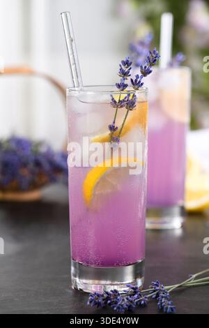 Limonade de lavande rafraîchissante avec de la glace, des tranches de citron et des brins de lavande frais dans un grand verre. Boisson d'été avec espace de copie, adapté à la boisson, w Banque D'Images