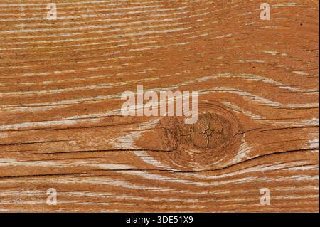 La surface en bois naturel affiche des motifs de grain et des nœuds uniques. La lumière met en évidence les textures et les couleurs du bois de manière simple. Banque D'Images
