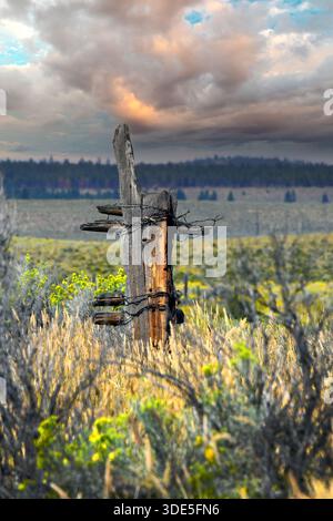 Le poteau de clôture solitaire est en pourriture et cassé. Il a du fil barbelé enroulé autour d'elle. Il se trouve dans la région de High Desert de l'est de l'Oregon. Banque D'Images