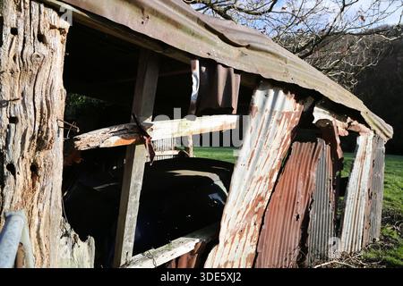 Ancienne grange contenant une voiture avec des feuilles de fer ondulé rouillées et de vieilles poutres avec des panneaux manquants - située dans un coin d'un champ sous un arbre Banque D'Images