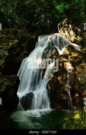 Une petite cascade claire descend en cascade des rochers moussseux dans une piscine tranquille, nichée dans un ruisseau de montagne serein. Banque D'Images