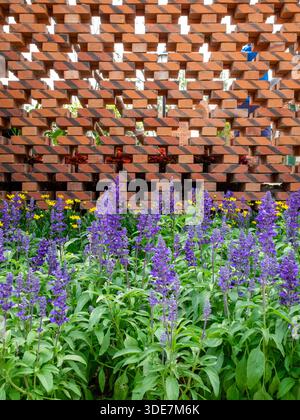 Gros plan vertical d'un mur de briques décoré de filières de vent colorées dans les espaces vides, avec des fleurs violettes en bas. L'image transmet créativ Banque D'Images