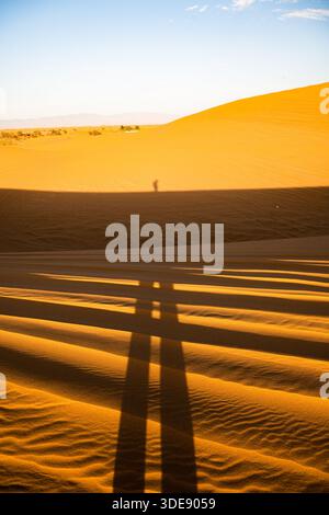 Longue ombre humaine projetée sur les dunes de sable ondulées dans le désert de Tengger, en Chine, sous la lumière du soleil à faible angle. Banque D'Images