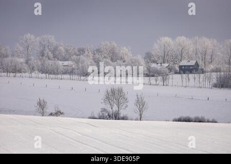 Habay, Belgique. 06 janvier 2026. Paysage avec des champs et des arbres couverts de neige à Habay le mardi 06 janvier 2026. Les températures sont basses en Belgique avec des chutes de neige locales pendant plusieurs jours. Crédit : Belga News Agency/Alamy Live News Banque D'Images