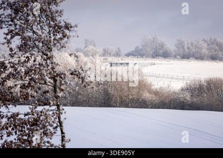 Habay, Belgique. 06 janvier 2026. Paysage avec des champs et des arbres couverts de neige à Habay le mardi 06 janvier 2026. Les températures sont basses en Belgique avec des chutes de neige locales pendant plusieurs jours. Crédit : Belga News Agency/Alamy Live News Banque D'Images