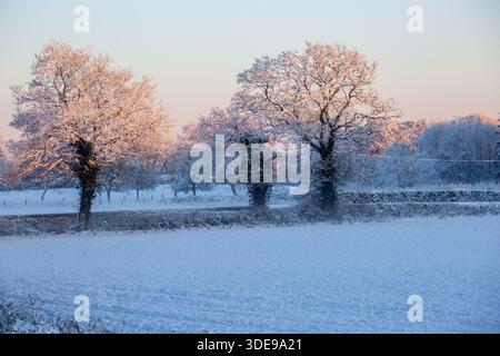 Coucher de soleil sur des arbres couverts de neige dans un paysage d'hiver couvert de neige Banque D'Images