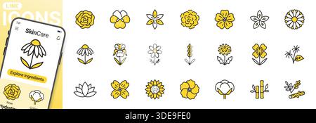 Jeu d'icônes de ligne de fleurs médicales. Rose, violette, jasmin, calendula, échinacée, iris, illustrations vectorielles de camomille. Signes de contour en duotone pour cosmétique Illustration de Vecteur