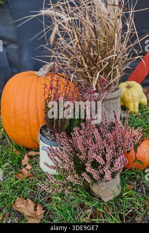 Une exposition automnale vibrante avec une grande citrouille orange, des couronnes décoratives et des plantes de bruyère en pot dans des récipients en toile de jute et en métal, serrés contre un Banque D'Images