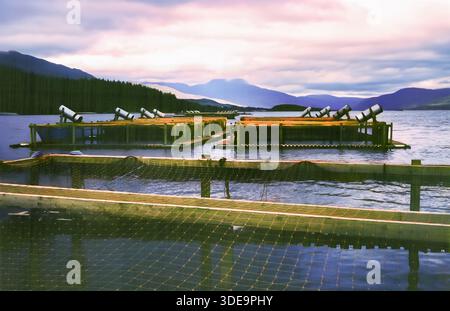 Vue sur une ferme de poissons de saumon sur la côte ouest de l'Écosse, au Royaume-Uni dans les années 1980, avec des montagnes au loin Banque D'Images