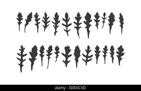 Diverses silhouettes de feuilles d'Arugula, ensemble de vraies impressions de feuilles, nourriture végétarienne, nourriture saine, microgreens. Illustration vectorielle Illustration de Vecteur