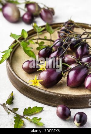Tomates cerises fraîches en forme de poire violette 'magique' disposées sur une plaque de céramique rustique, avec des vignes de tomates vertes sur un fond de pierre claire. Banque D'Images