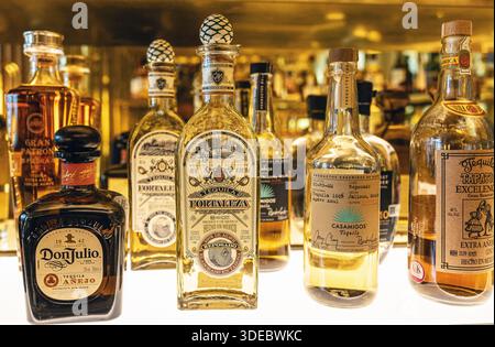 Une collection organisée de bouteilles mexicaines de tequila premium, avec des étiquettes añejo artisanales et en petits lots et extra añejo, élégamment exposées. Banque D'Images