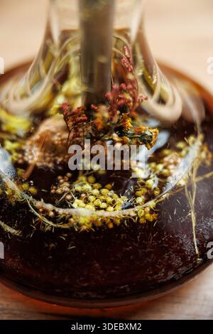 Infusion à base de plantes présentée dans un récipient en verre transparent mettant en valeur les fleurs séchées et les plantes immergées dans un liquide. L'arrangement met en évidence les détails Banque D'Images