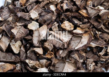 Gros plan de champignons séchés pile, couches denses de chapeaux déshydratés et de tiges avec des tons brun terreux et une surface poudreuse, idéal pour l'emballage alimentaire Banque D'Images