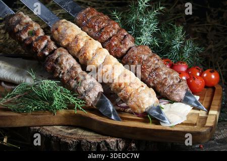 Gros plan d'un plat traditionnel caucasien – assortiment de viande hachée grillée (lula kebab ou shish kebab) sur des brochettes en métal. Avec des kebabs fabriqués à partir de chi Banque D'Images
